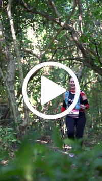 BIB:  <button type="button" onclick="openModal(28078257)" class="btn btn-primary btn-sm float-right" data-toggle="modal" data-target=".modal-high-quality">
                <i class="fa fa-download"></i> Download
                </button>